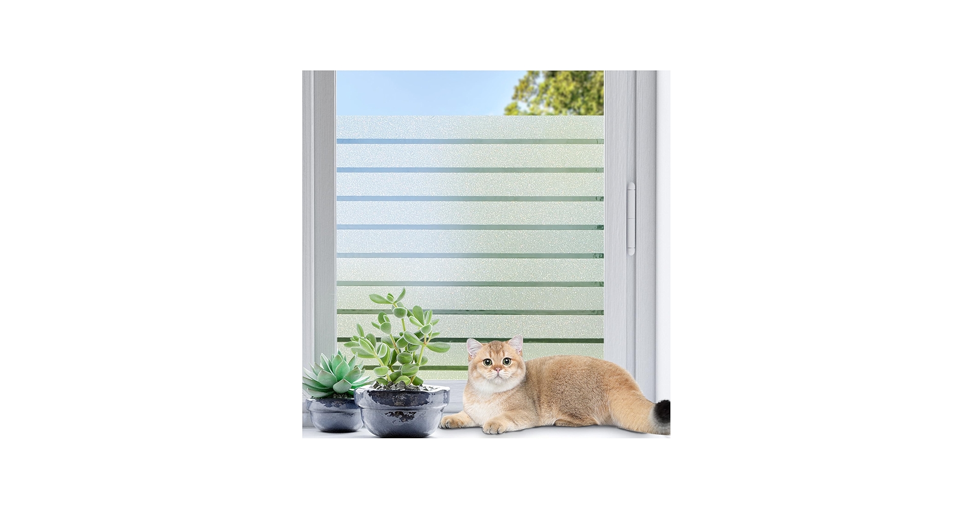 A bright apartment window with frosted static cling film applied on the lower half, sunlight diffusing softly into the room, real home photography style