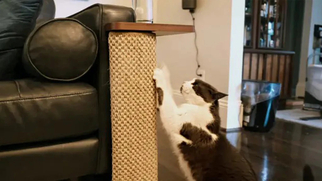 A caramel leather sofa in a living room with a tall scratching post positioned at the sofa arm corner, warm lamp light, real photo