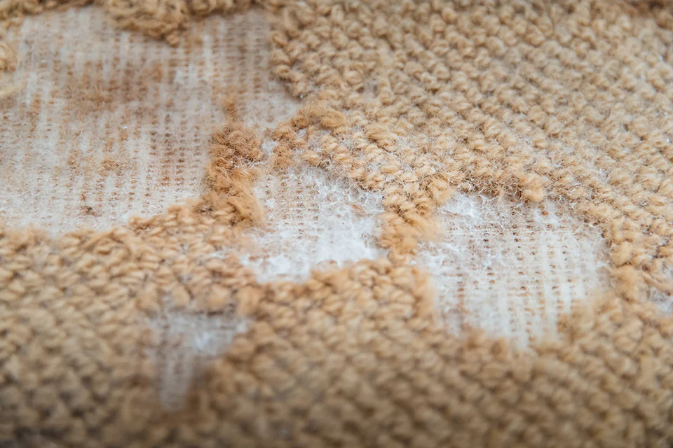 A close-up photograph of a wool rug with small irregular bare patches and frayed fibers near the edge, natural window light, realistic home interior