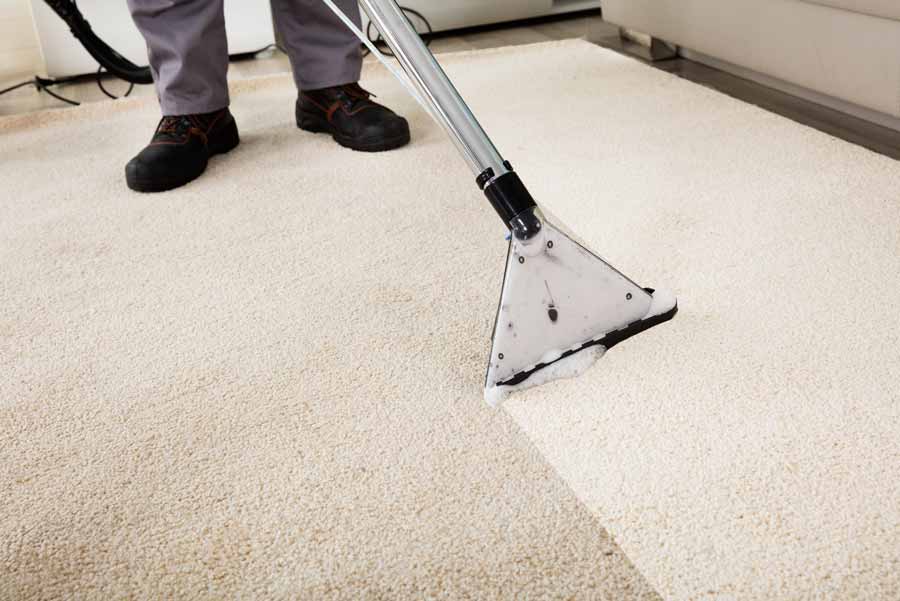 A lived-in apartment room with wall-to-wall carpet and open windows, sunlight hitting the floor while a person kneels to smell-test the carpet near the baseboard