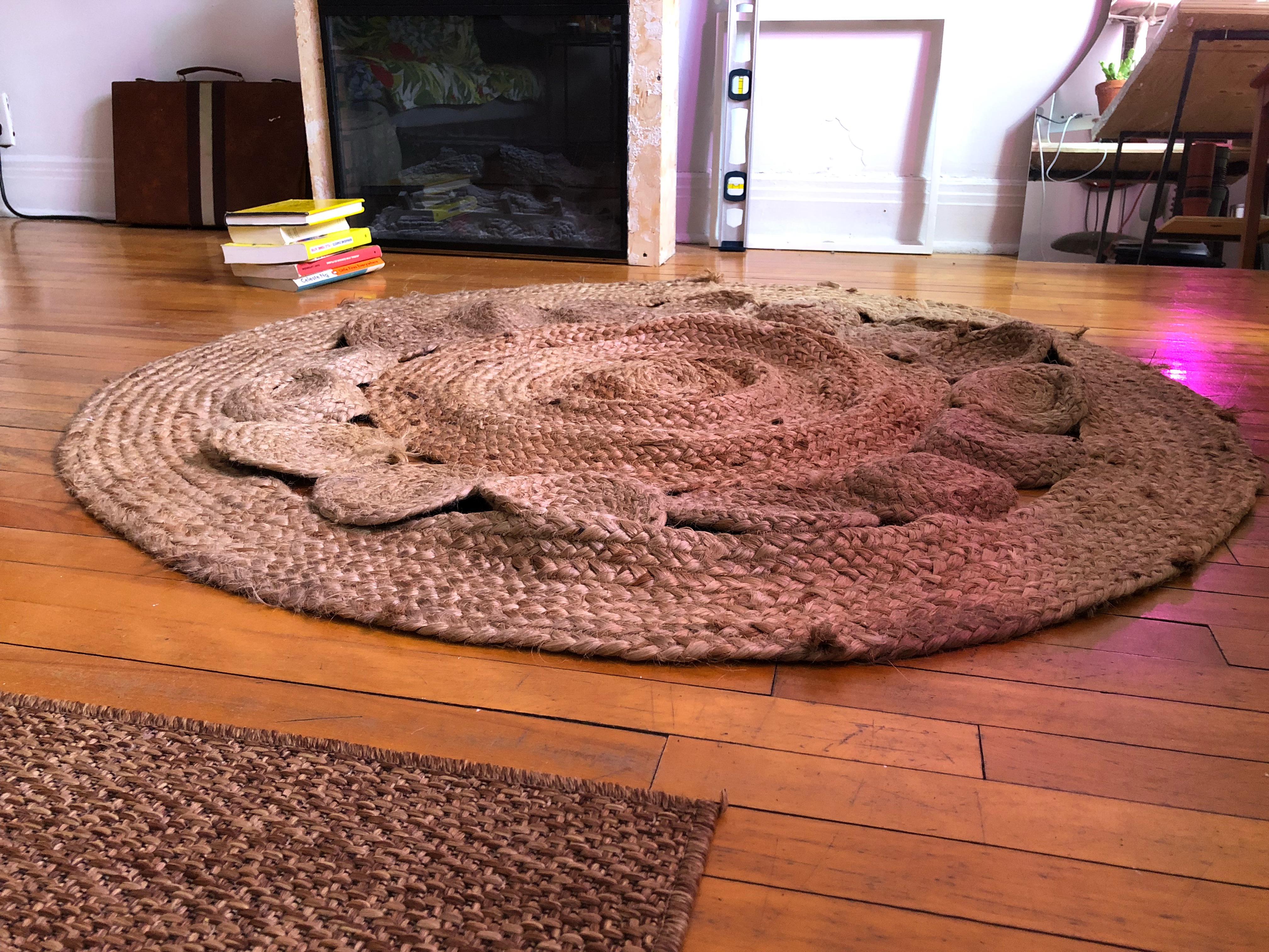 A natural jute rug on a wood floor with a visible raised ridge running across the center after a humid day, sunlight coming through a nearby window