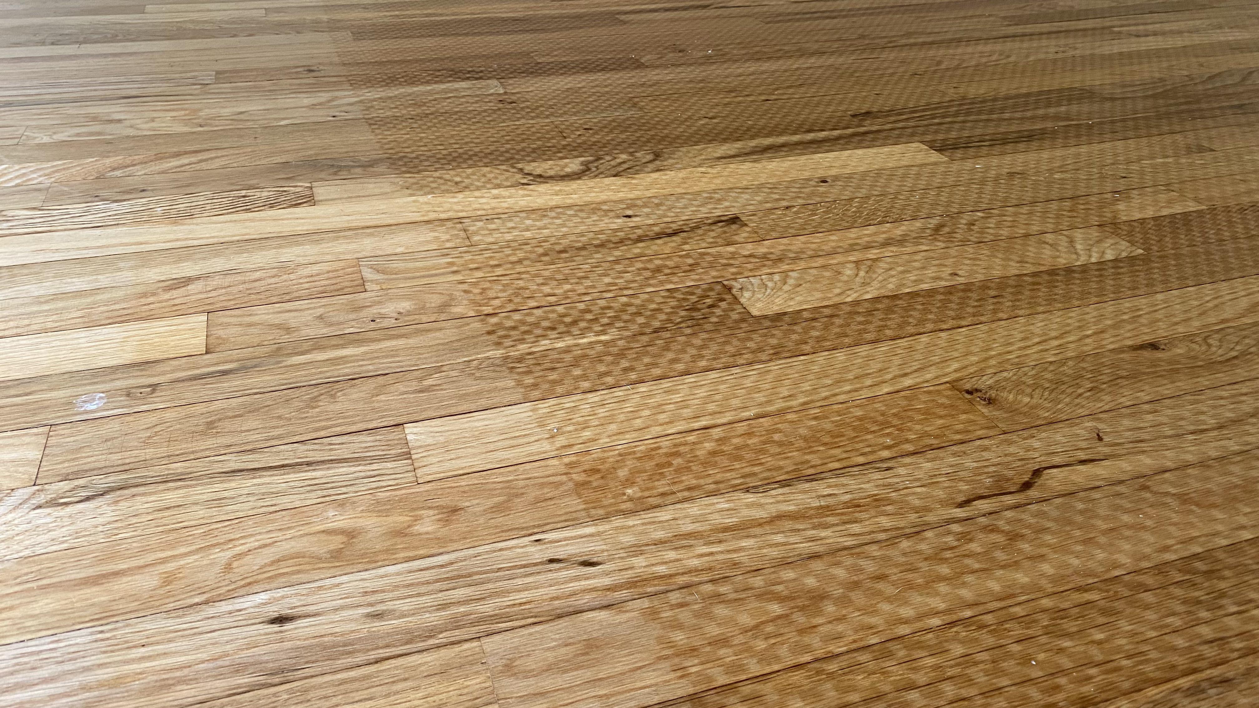 A person holding a smartphone taking a photo of a rectangular discoloration on hardwood flooring where an area rug has been lifted