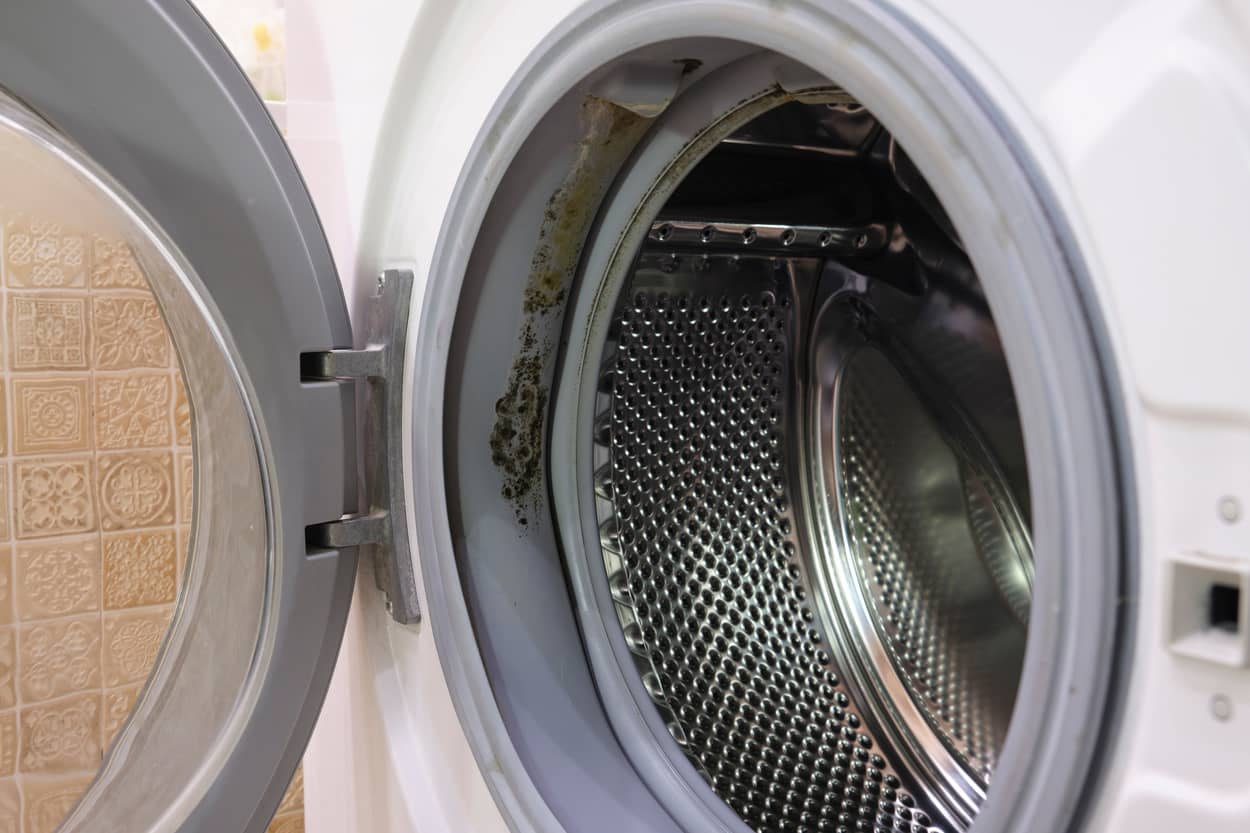 A real front-load washing machine with the door open, showing black mold spots along the folds of the rubber door gasket in a laundry room