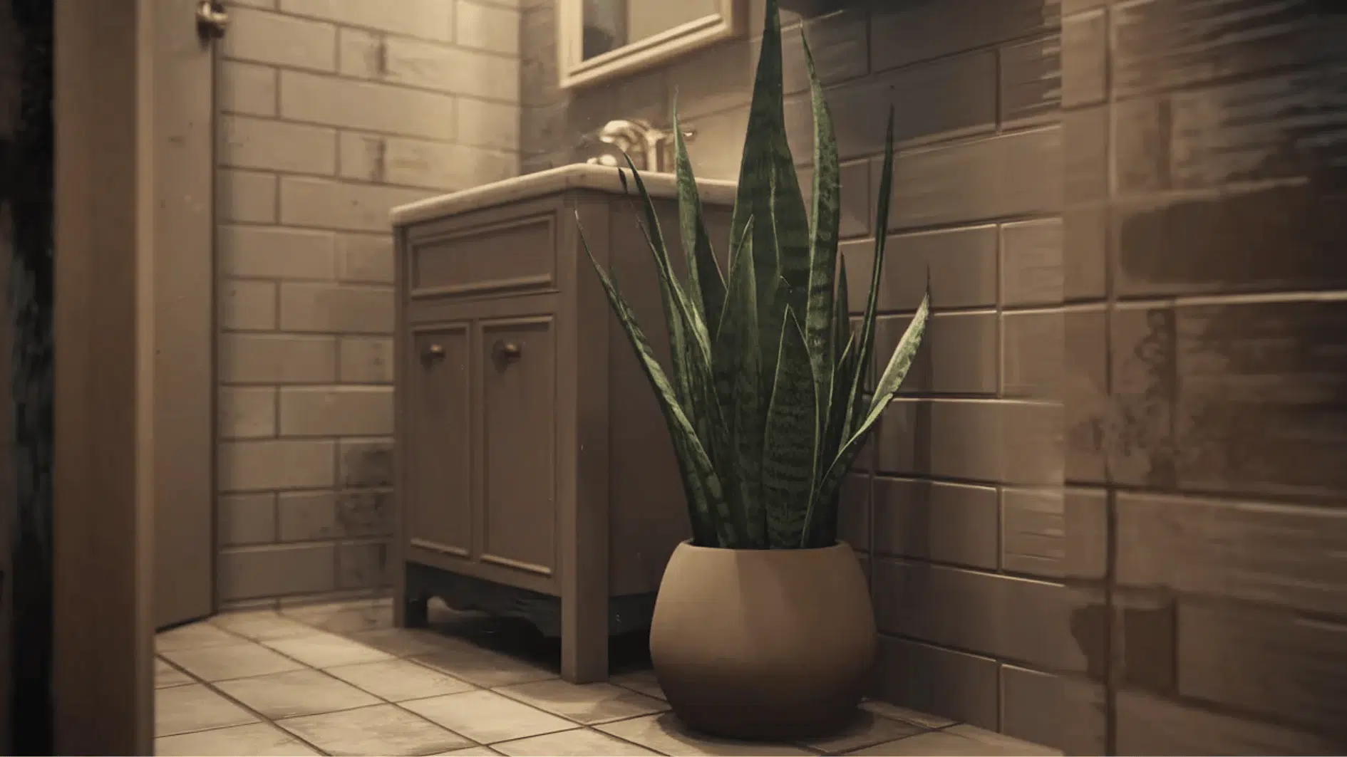 Best Low-Light Plants for Steamy Bathrooms