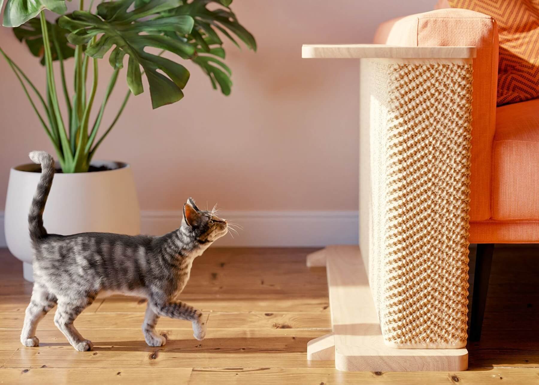 A tall sisal scratching post positioned directly next to the arm corner of a light-colored sofa in a cozy living room, real photo