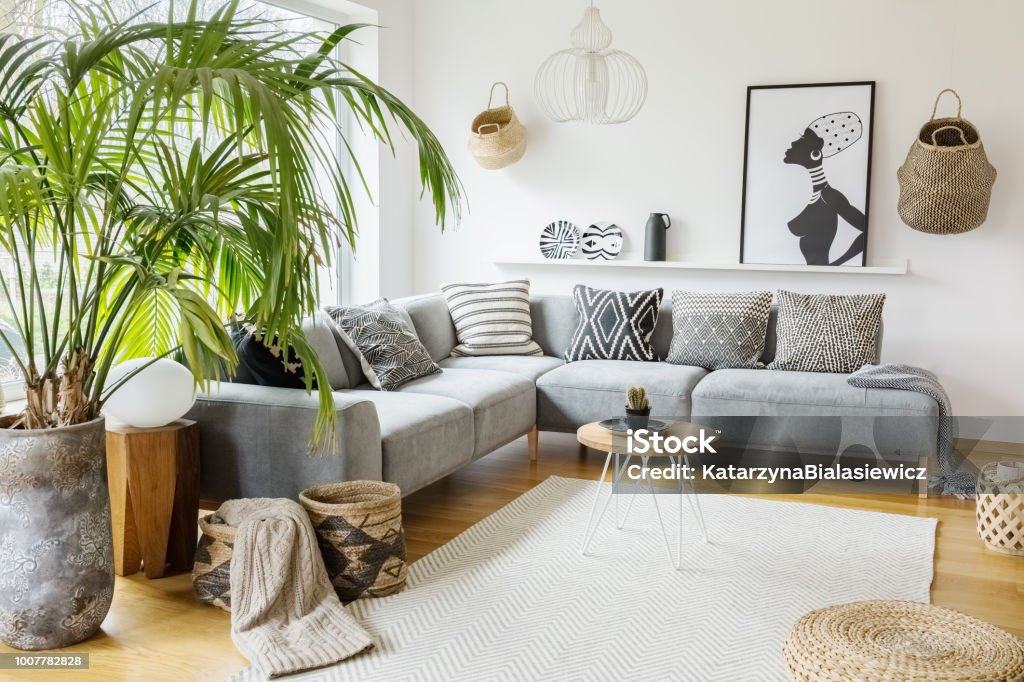 Gray sofa with a tall leafy plant in a warm ceramic pot placed in the corner beside the sofa